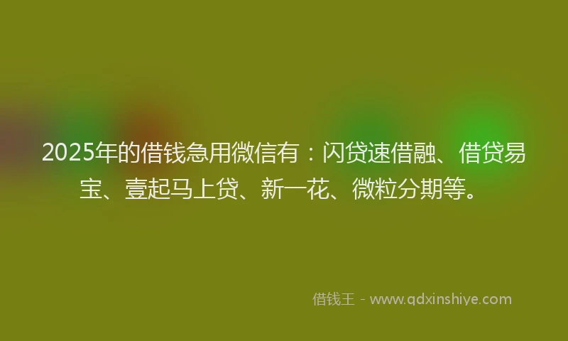 2025年的借钱急用微信有：闪贷速借融、借贷易宝、壹起马上贷、新一花、微粒分期等。