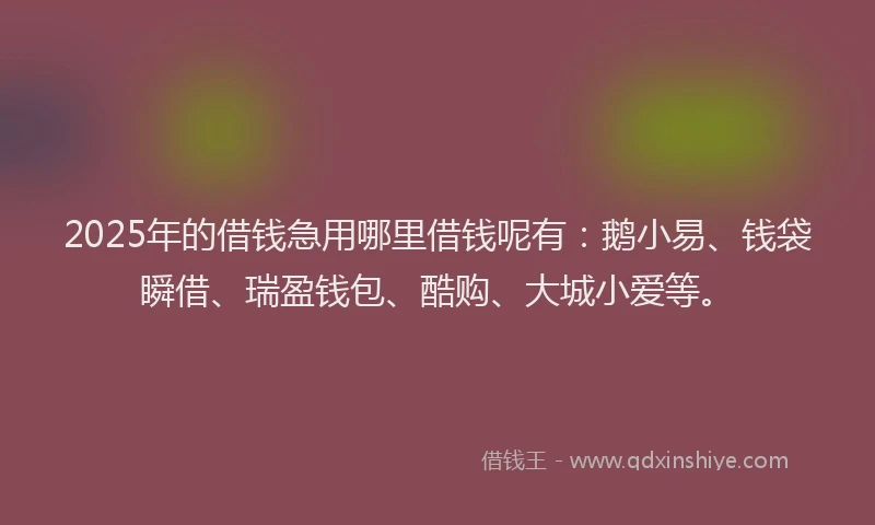 2025年的借钱急用哪里借钱呢有：鹅小易、钱袋瞬借、瑞盈钱包、酷购、大城小爱等。