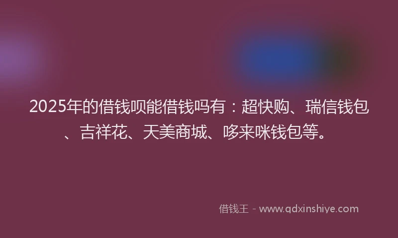 2025年的借钱呗能借钱吗有：超快购、瑞信钱包、吉祥花、天美商城、哆来咪钱包等。