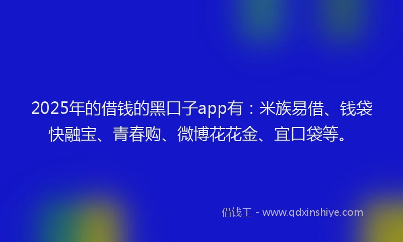 2025年的借钱的黑口子app有：米族易借、钱袋快融宝、青春购、微博花花金、宜口袋等。