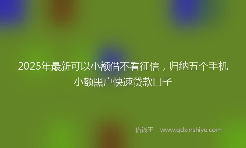 2025年最新可以小额借不看征信，归纳五个手机小额黑户快速贷款口子