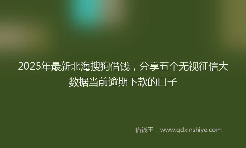 2025年最新北海搜狗借钱，分享五个无视征信大数据当前逾期下款的口子