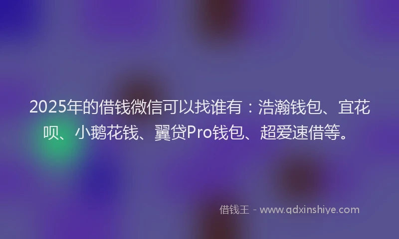 2025年的借钱微信可以找谁有：浩瀚钱包、宜花呗、小鹅花钱、翼贷Pro钱包、超爱速借等。