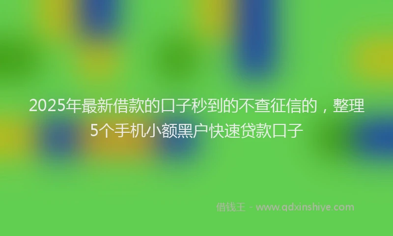 2025年最新借款的口子秒到的不查征信的，整理5个手机小额黑户快速贷款口子