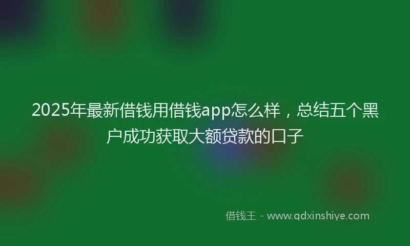 2025年最新借钱用借钱app怎么样，总结五个黑户成功获取大额贷款的口子