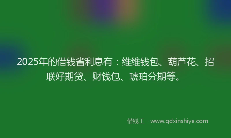 2025年的借钱省利息有：维维钱包、葫芦花、招联好期贷、财钱包、琥珀分期等。