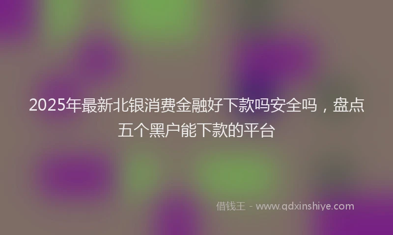 2025年最新北银消费金融好下款吗安全吗，盘点五个黑户能下款的平台
