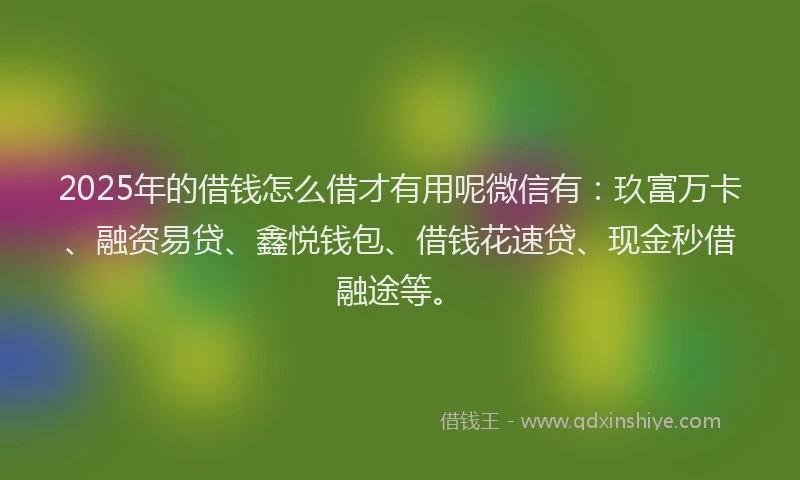 2025年的借钱怎么借才有用呢微信有：玖富万卡、融资易贷、鑫悦钱包、借钱花速贷、现金秒借融途等。