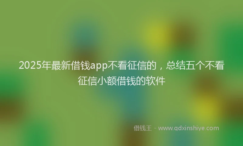 2025年最新借钱app不看征信的，总结五个不看征信小额借钱的软件
