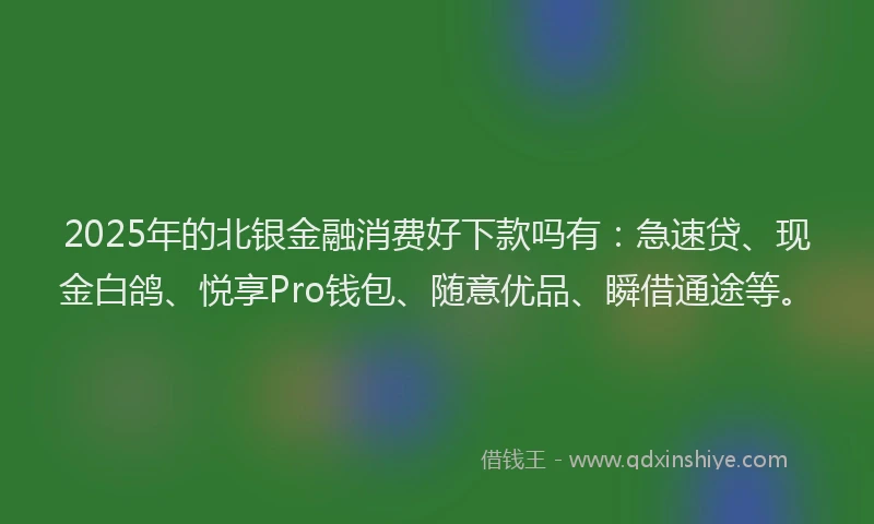 2025年的北银金融消费好下款吗有：急速贷、现金白鸽、悦享Pro钱包、随意优品、瞬借通途等。