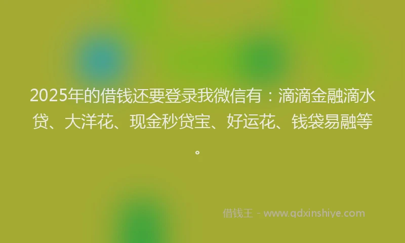 2025年的借钱还要登录我微信有：滴滴金融滴水贷、大洋花、现金秒贷宝、好运花、钱袋易融等。