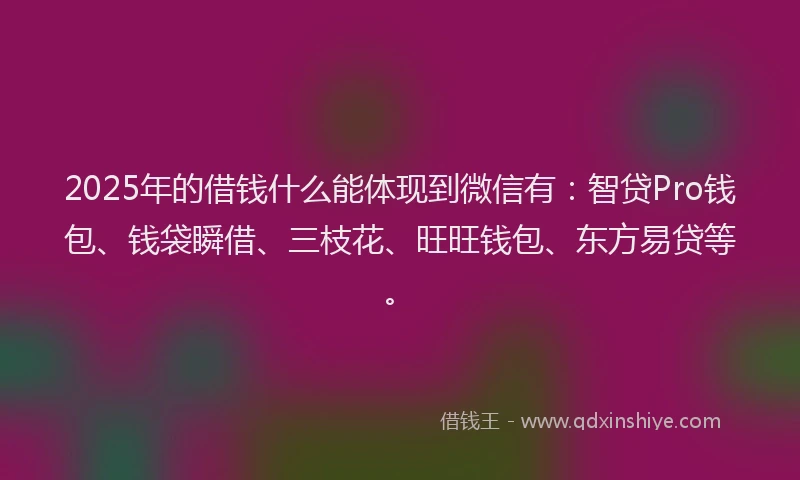 2025年的借钱什么能体现到微信有：智贷Pro钱包、钱袋瞬借、三枝花、旺旺钱包、东方易贷等。