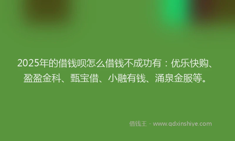 2025年的借钱呗怎么借钱不成功有：优乐快购、盈盈金科、甄宝借、小融有钱、涌泉金服等。