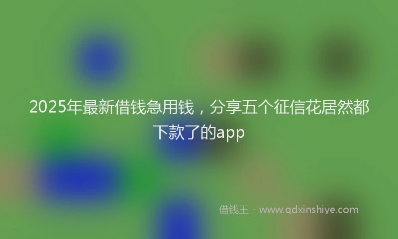 2025年最新借钱急用钱，分享五个征信花居然都下款了的app