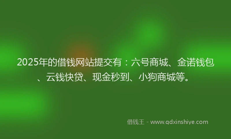 2025年的借钱网站提交有：六号商城、金诺钱包、云钱快贷、现金秒到、小狗商城等。