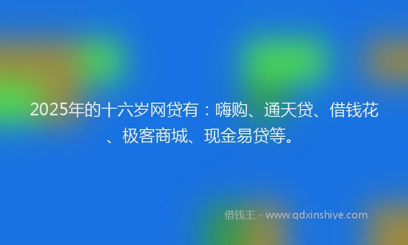 2025年的十六岁网贷有：嗨购、通天贷、借钱花、极客商城、现金易贷等。