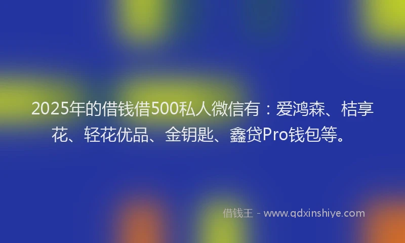2025年的借钱借500私人微信有：爱鸿森、桔享花、轻花优品、金钥匙、鑫贷Pro钱包等。