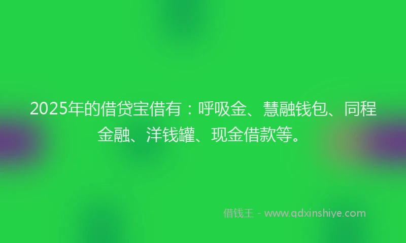 2025年的借贷宝借有：呼吸金、慧融钱包、同程金融、洋钱罐、现金借款等。