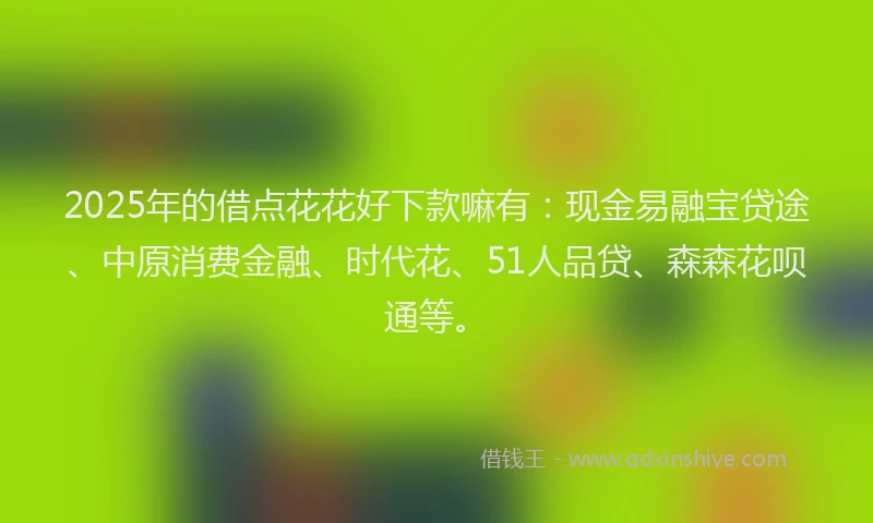 2025年的借点花花好下款嘛有：现金易融宝贷途、中原消费金融、时代花、51人品贷、森森花呗通等。