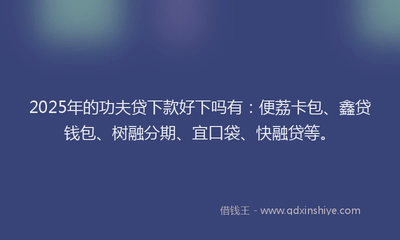 2025年的功夫贷下款好下吗有：便荔卡包、鑫贷钱包、树融分期、宜口袋、快融贷等。