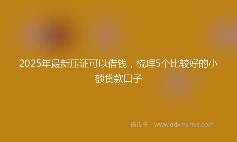 2025年最新压证可以借钱，梳理5个比较好的小额贷款口子