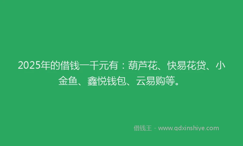 2025年的借钱一千元有：葫芦花、快易花贷、小金鱼、鑫悦钱包、云易购等。