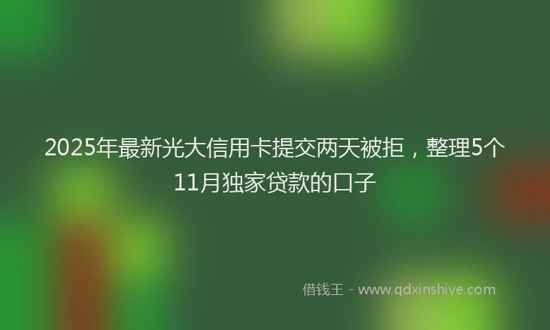 2025年最新光大信用卡提交两天被拒，整理5个11月独家贷款的口子