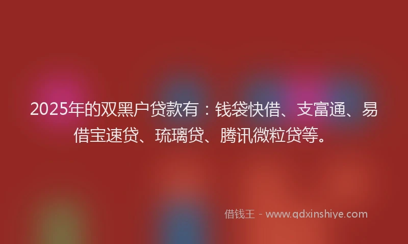 2025年的双黑户贷款有：钱袋快借、支富通、易借宝速贷、琉璃贷、腾讯微粒贷等。
