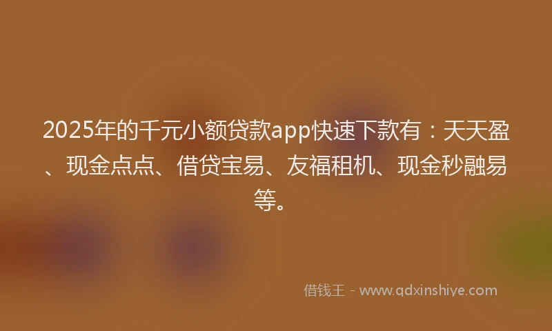 2025年的千元小额贷款app快速下款有：天天盈、现金点点、借贷宝易、友福租机、现金秒融易等。