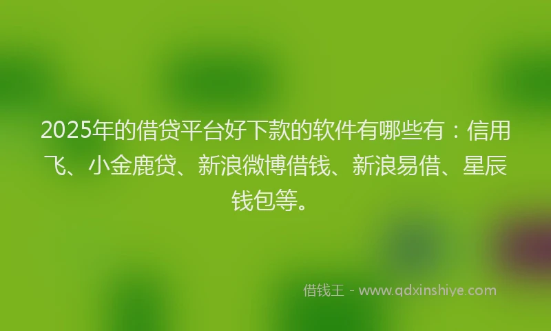 2025年的借贷平台好下款的软件有哪些有：信用飞、小金鹿贷、新浪微博借钱、新浪易借、星辰钱包等。