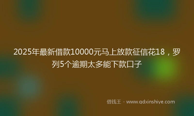 2025年最新借款10000元马上放款征信花18，罗列5个逾期太多能下款口子