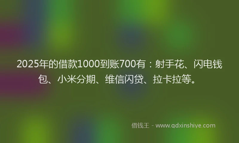 2025年的借款1000到账700有：射手花、闪电钱包、小米分期、维信闪贷、拉卡拉等。