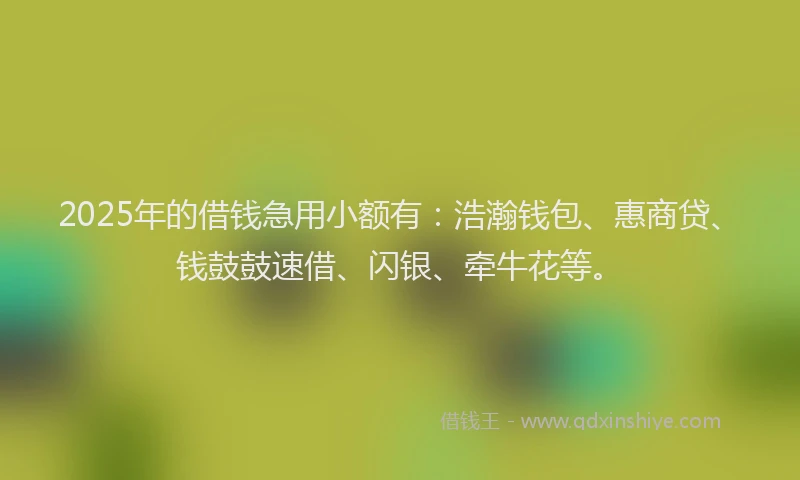 2025年的借钱急用小额有：浩瀚钱包、惠商贷、钱鼓鼓速借、闪银、牵牛花等。