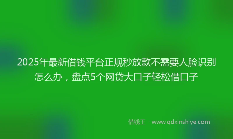 2025年最新借钱平台正规秒放款不需要人脸识别怎么办，盘点5个网贷大口子轻松借口子