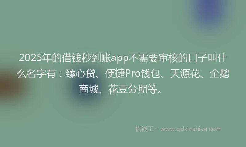 2025年的借钱秒到账app不需要审核的口子叫什么名字有:臻心贷、便捷Pro钱包、天源花、企鹅商城、花豆分期等。