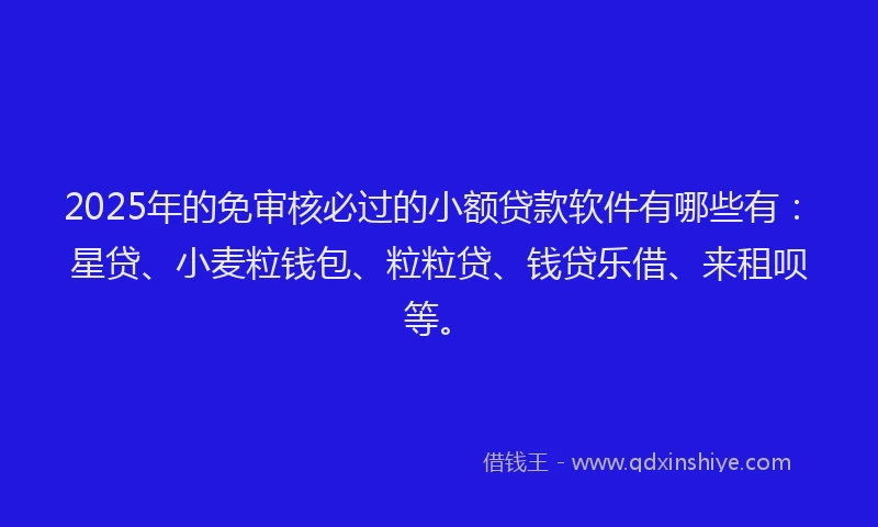 2025年的免审核必过的小额贷款软件有哪些有：星贷、小麦粒钱包、粒粒贷、钱贷乐借、来租呗等。