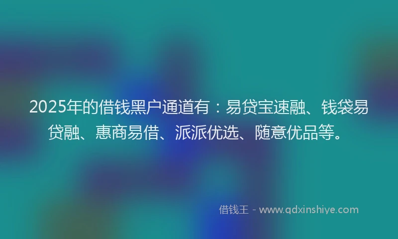 2025年的借钱黑户通道有：易贷宝速融、钱袋易贷融、惠商易借、派派优选、随意优品等。