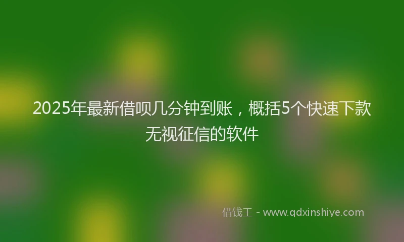 2025年最新借呗几分钟到账，概括5个快速下款无视征信的软件