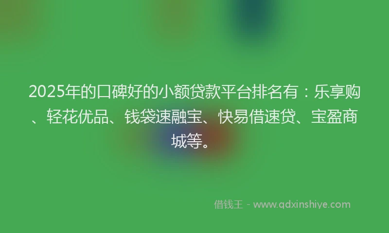 2025年的口碑好的小额贷款平台排名有：乐享购、轻花优品、钱袋速融宝、快易借速贷、宝盈商城等。