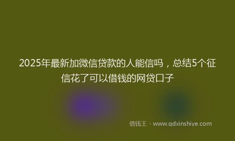 2025年最新加微信贷款的人能信吗，总结5个征信花了可以借钱的网贷口子