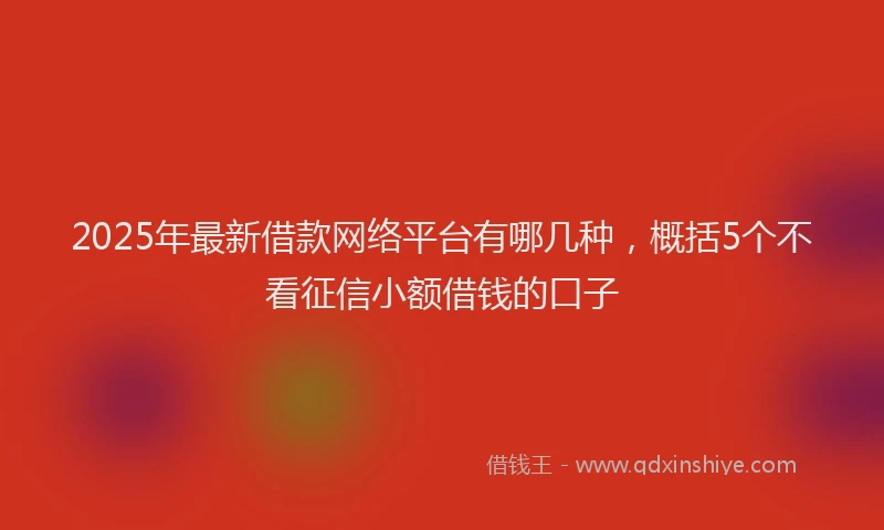 2025年最新借款网络平台有哪几种，概括5个不看征信小额借钱的口子