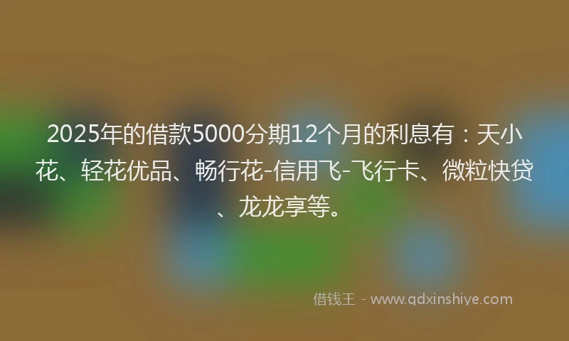 2025年的借款5000分期12个月的利息有：天小花、轻花优品、畅行花-信用飞-飞行卡、微粒快贷、龙龙享等。