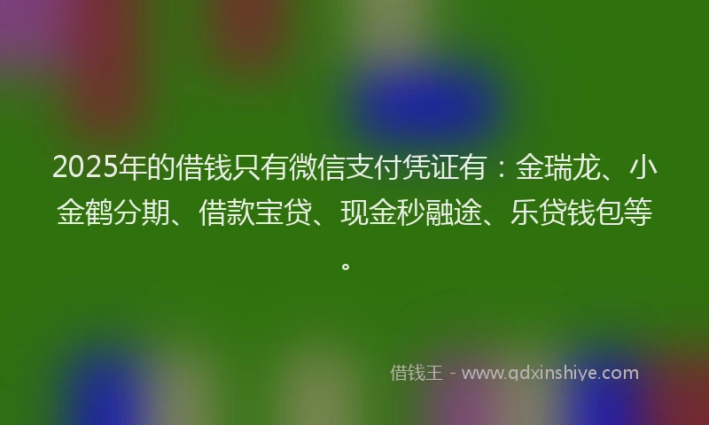 2025年的借钱只有微信支付凭证有：金瑞龙、小金鹤分期、借款宝贷、现金秒融途、乐贷钱包等。