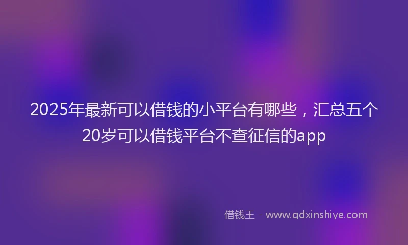 2025年最新可以借钱的小平台有哪些，汇总五个20岁可以借钱平台不查征信的app