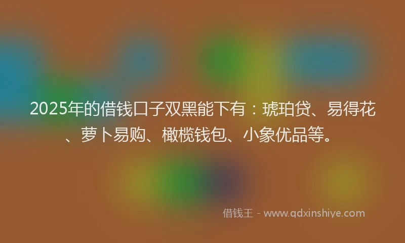 2025年的借钱口子双黑能下有：琥珀贷、易得花、萝卜易购、橄榄钱包、小象优品等。