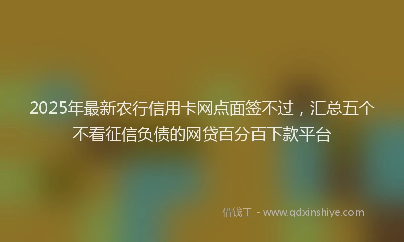 2025年最新农行信用卡网点面签不过，汇总五个不看征信负债的网贷百分百下款平台