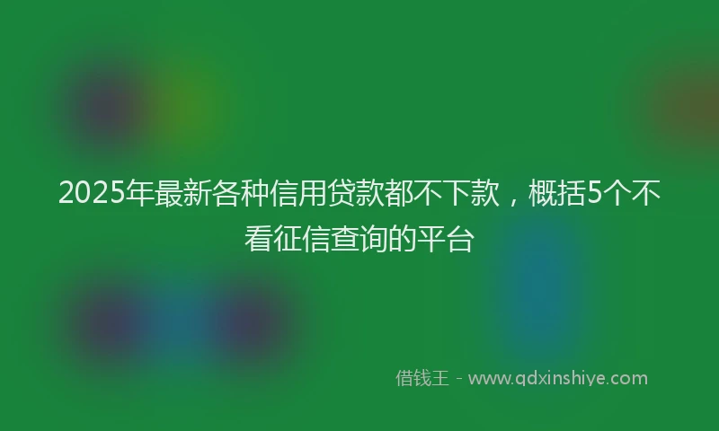2025年最新各种信用贷款都不下款，概括5个不看征信查询的平台