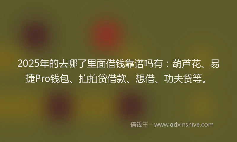 2025年的去哪了里面借钱靠谱吗有：葫芦花、易捷Pro钱包、拍拍贷借款、想借、功夫贷等。