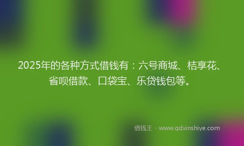 2025年的各种方式借钱有：六号商城、桔享花、省呗借款、口袋宝、乐贷钱包等。