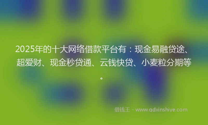 2025年的十大网络借款平台有：现金易融贷途、超爱财、现金秒贷通、云钱快贷、小麦粒分期等。